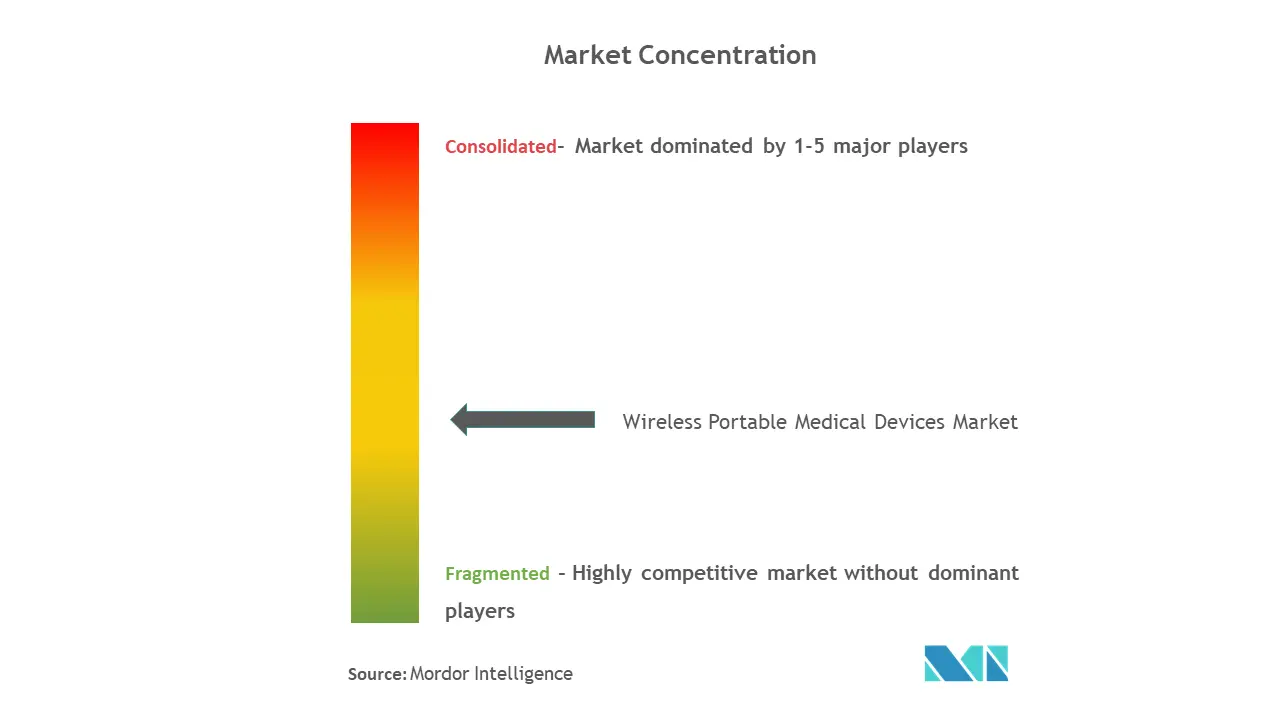 Wireless Portable Medical Devices Market Concentration