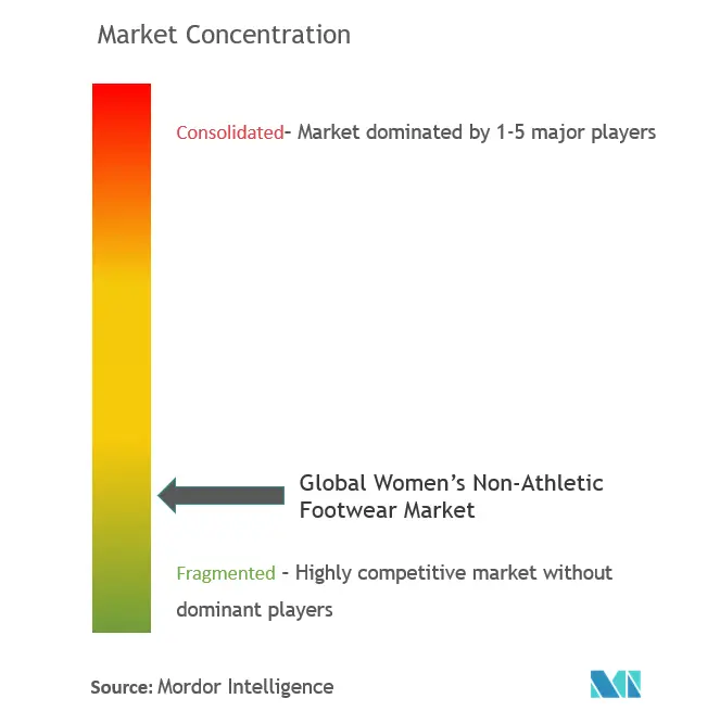 Calzado no deportivo para mujeres a nivel mundialConcentración del Mercado
