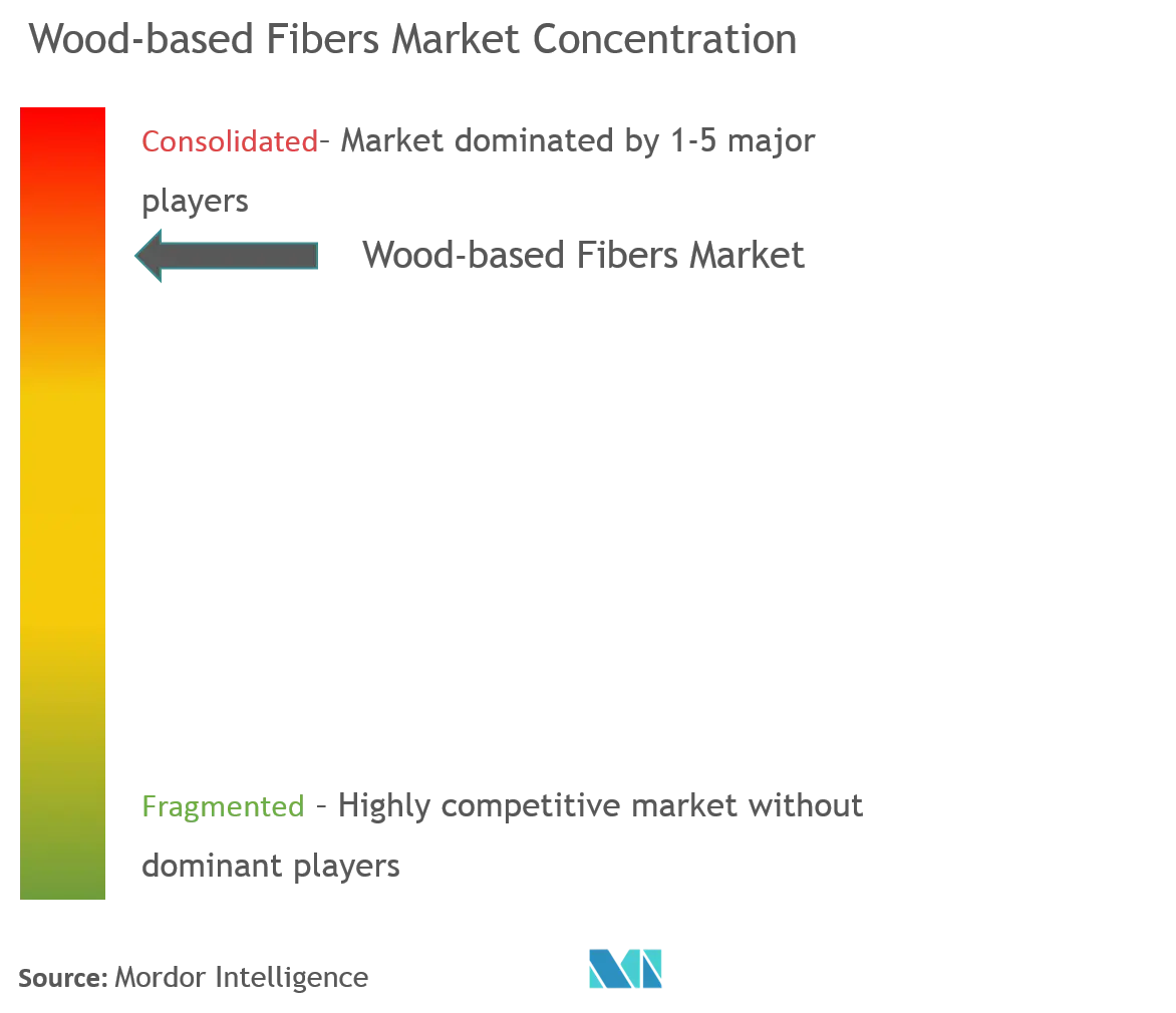 Tecnología Aoyang, Asahi Kasei Corporation, Bracell, Grasim Industries Limited, Lenzing, Rayonier Advanced Materials, Sandong Yamei