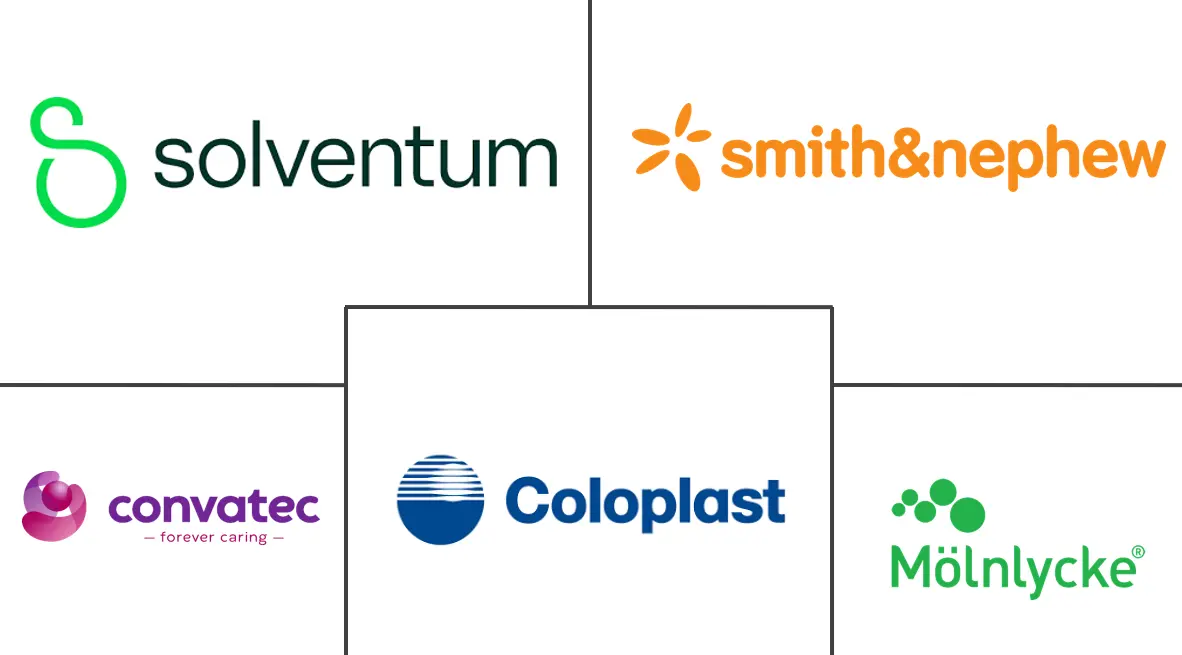 Wound Dressings Market Major Players Wound Dressings Market Major Players