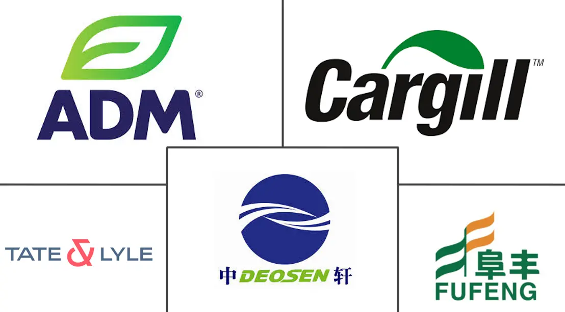 Major players in Xanthan Gum industry