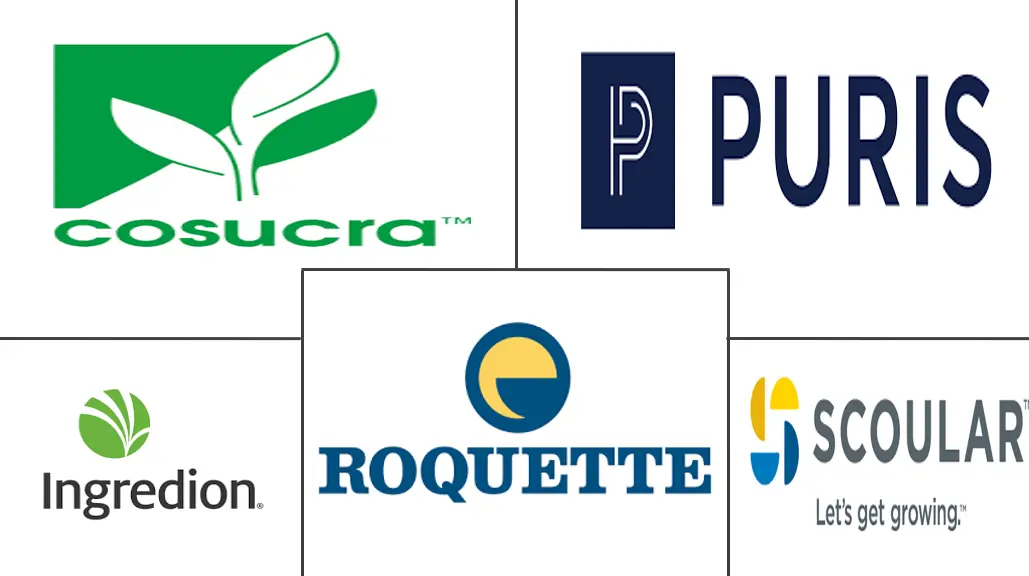 Major players in Yellow Pea Protein industry