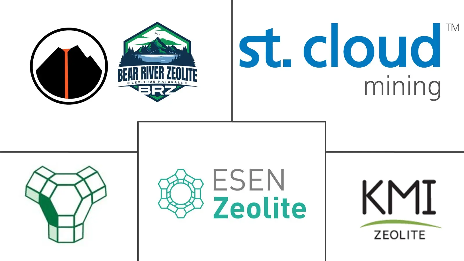 Major players in Zeolite Concrete industry