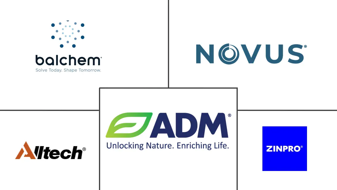 Related Companies Logo